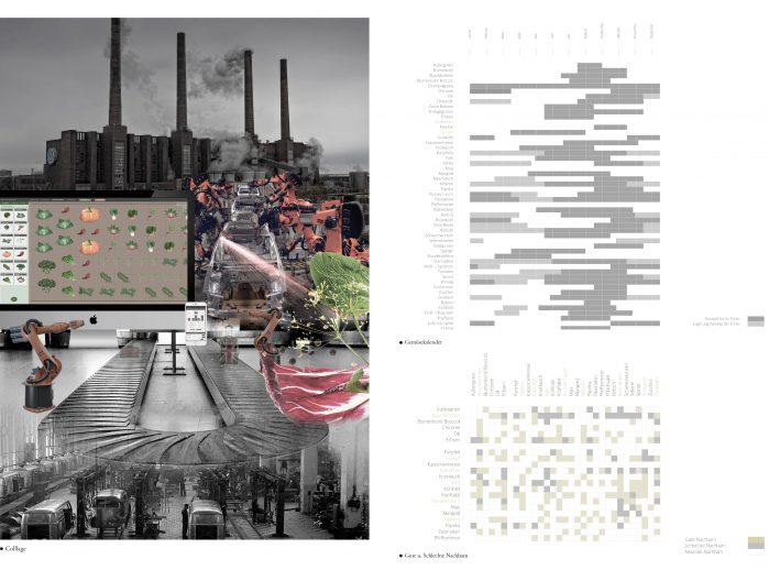 Collage zum Entwurf, Gem&uuml;sekalender und &Uuml;bersicht zu Pflanznachbarn