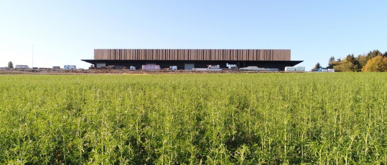 B20_Bild 01 Holzbau Zukunftwerkstatt, Aussenansicht